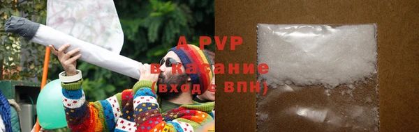 сатива Карпинск