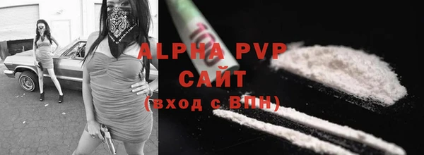 сатива Карпинск