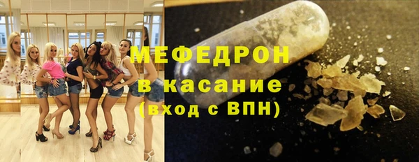 сатива Карпинск