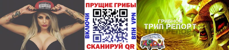 Купить где  Дагестанские Огни  Псилоцибиновые грибы мицелий 